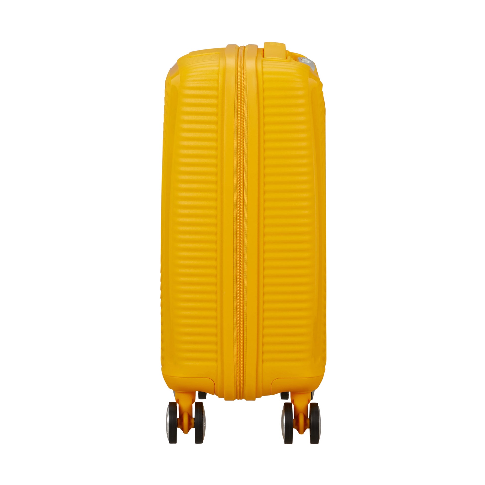American Tourister Luggage American Tourister Little Curio Kids Spinner Carry-On Luggage