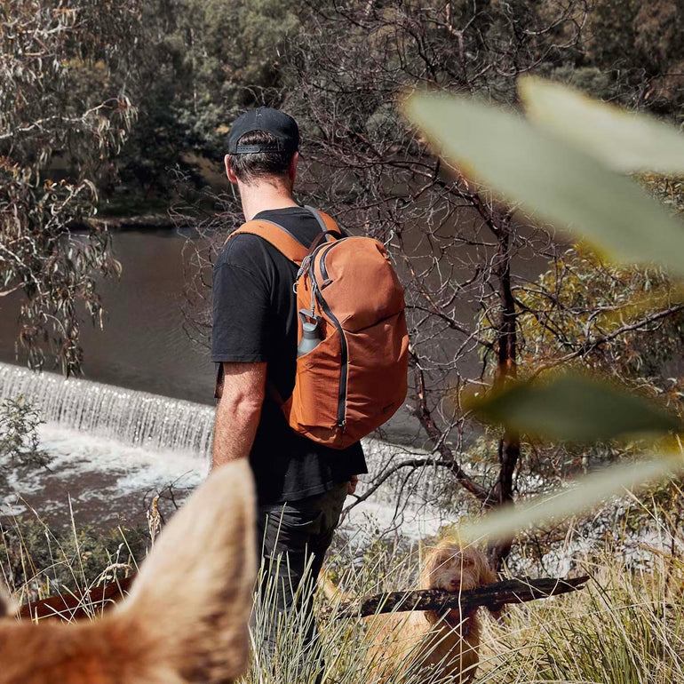 Bellroy Backpacks Bellroy Venture Ready Pack 26L