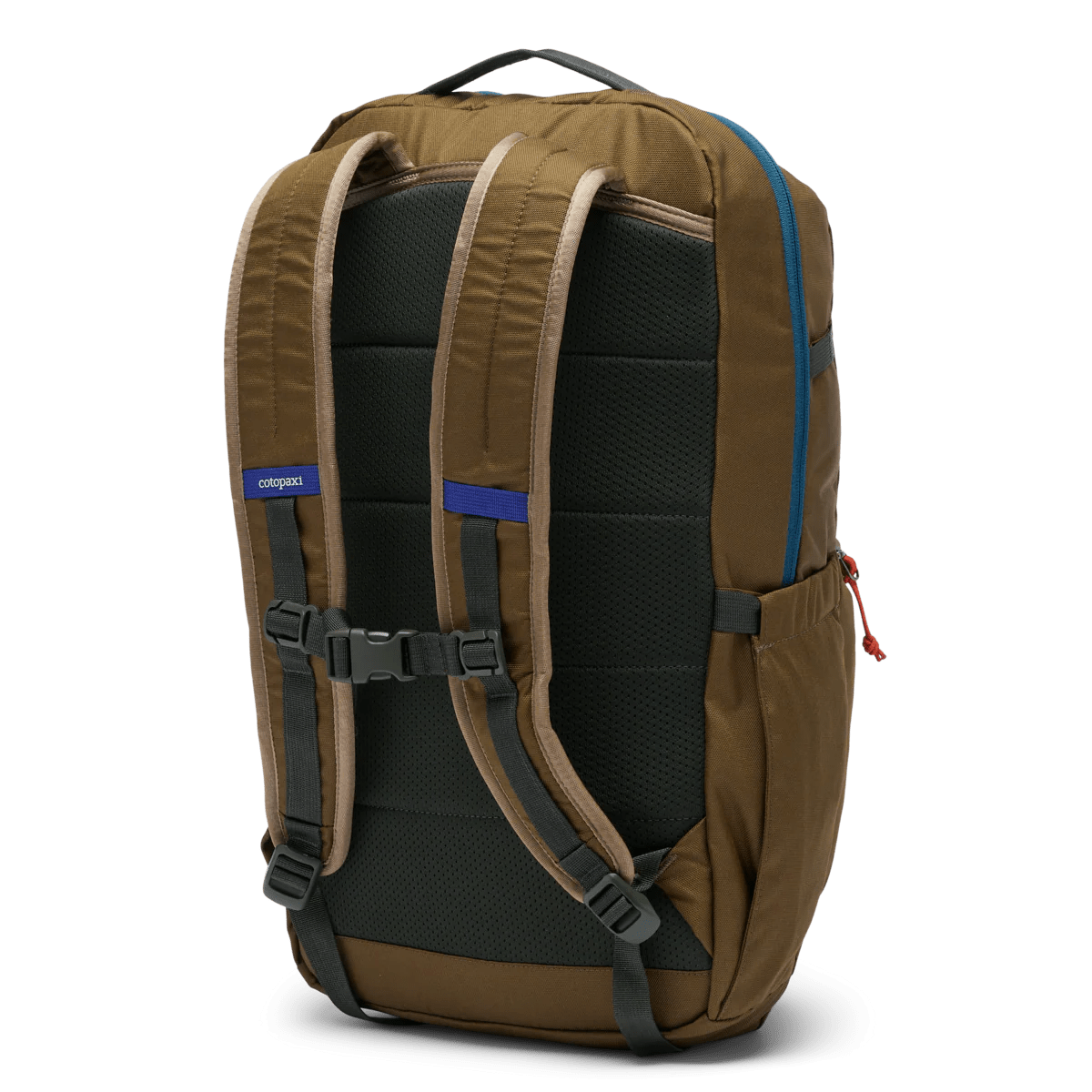 Cotopaxi Backpacks Live Oak Cotopaxi Chiquillo 26L Backpack - Cada Día - Live Oak