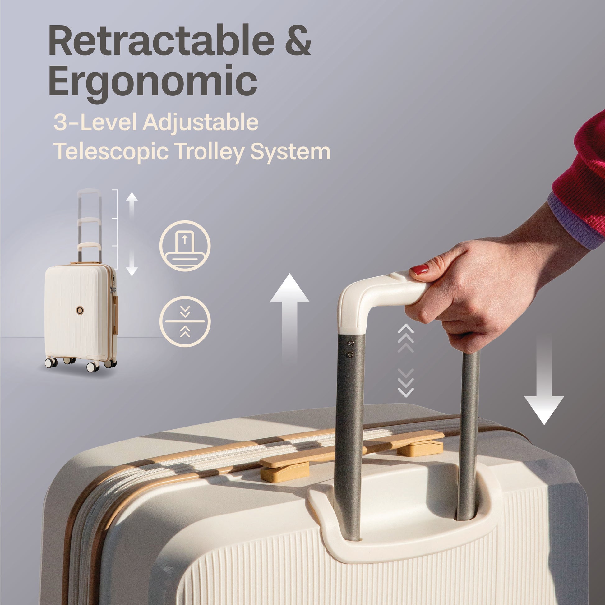 Jetstream Luggage Jetstream Signature Series 5-Piece Luggage Set