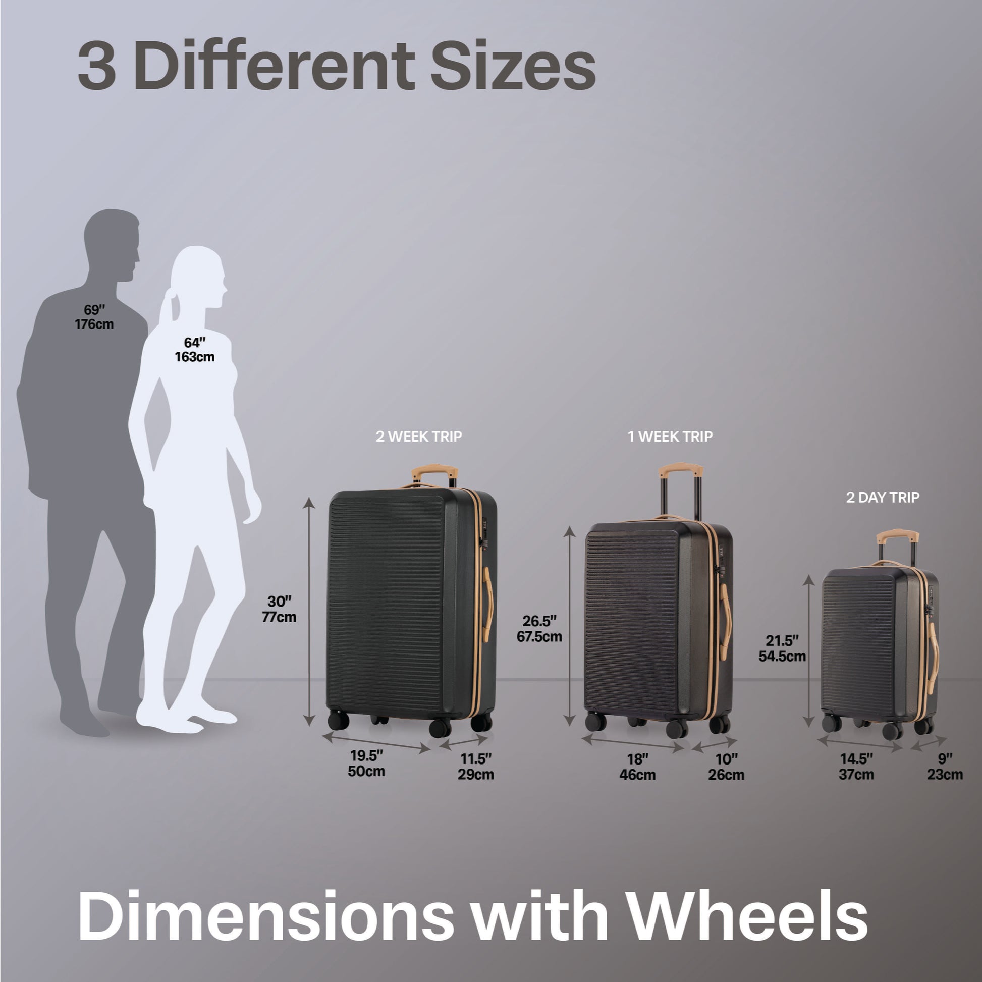 Jetstream Luggage Jetstream Studio Collection 3-Piece Luggage Set