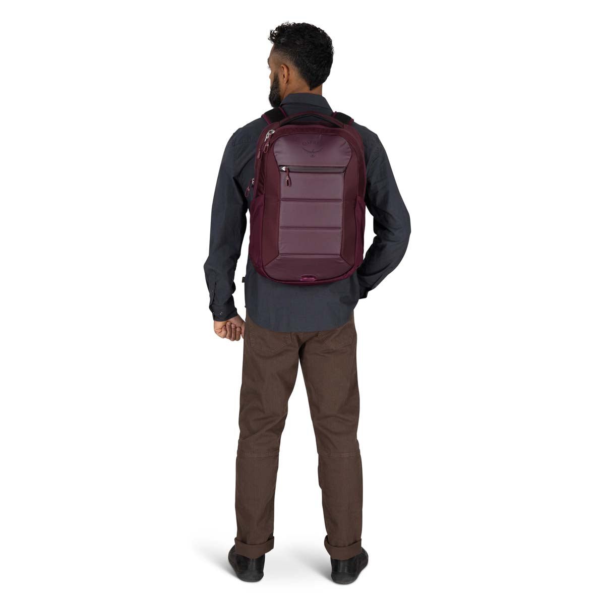 Osprey Backpacks Black Osprey Ozone Laptop Travel Backpack