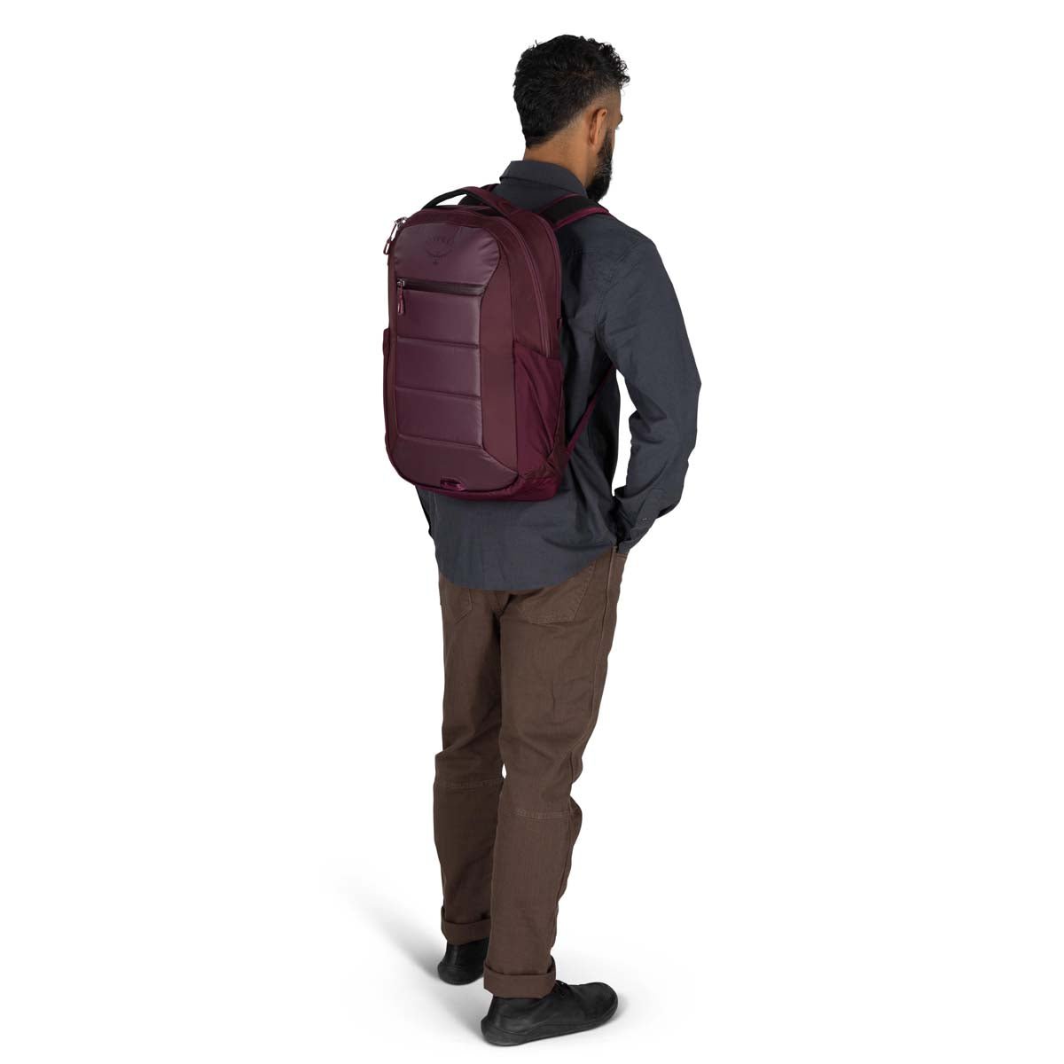 Osprey Backpacks Black Osprey Ozone Laptop Travel Backpack