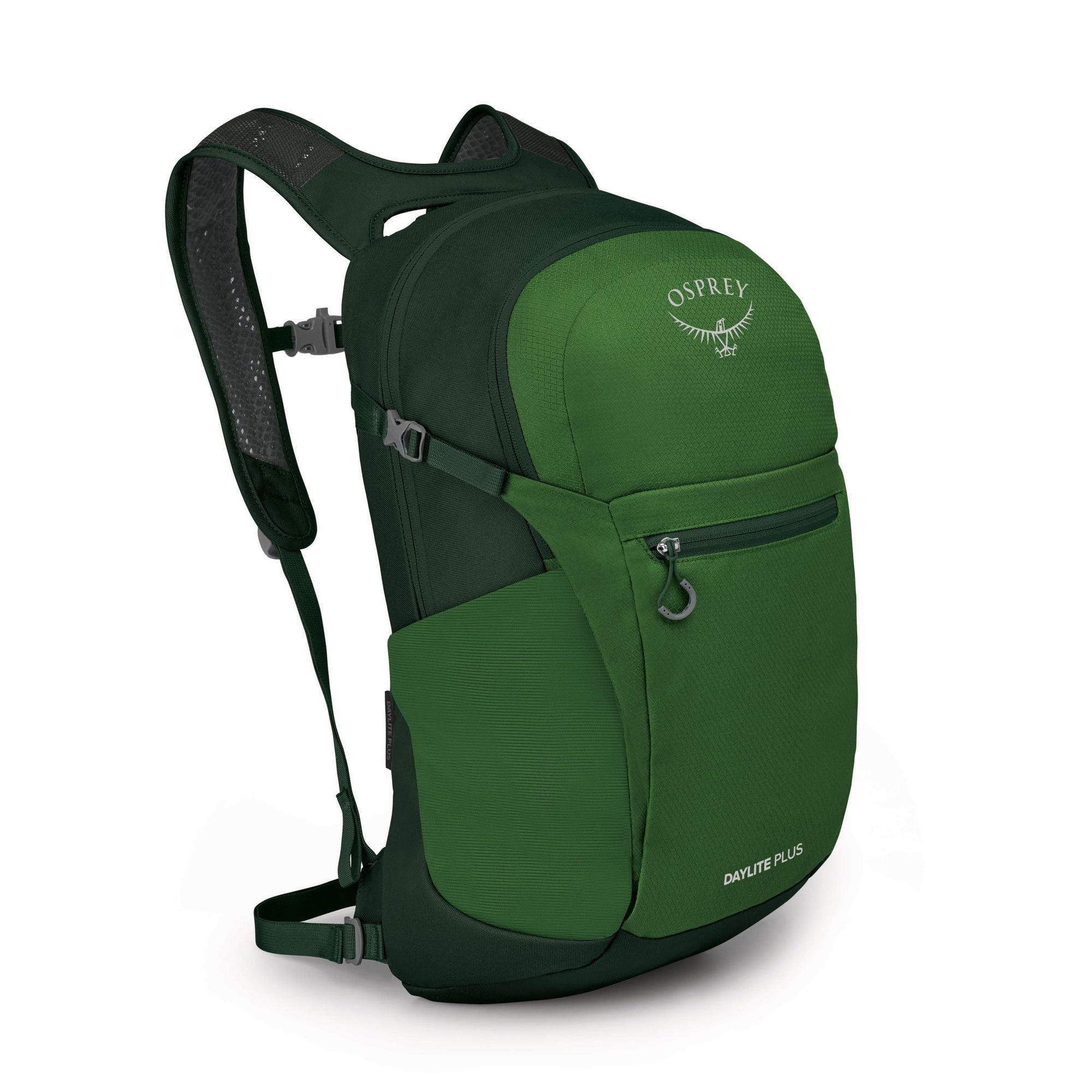 Osprey Backpacks Green Belt/Green Canopy Osprey Daylite Plus Everyday Backpack