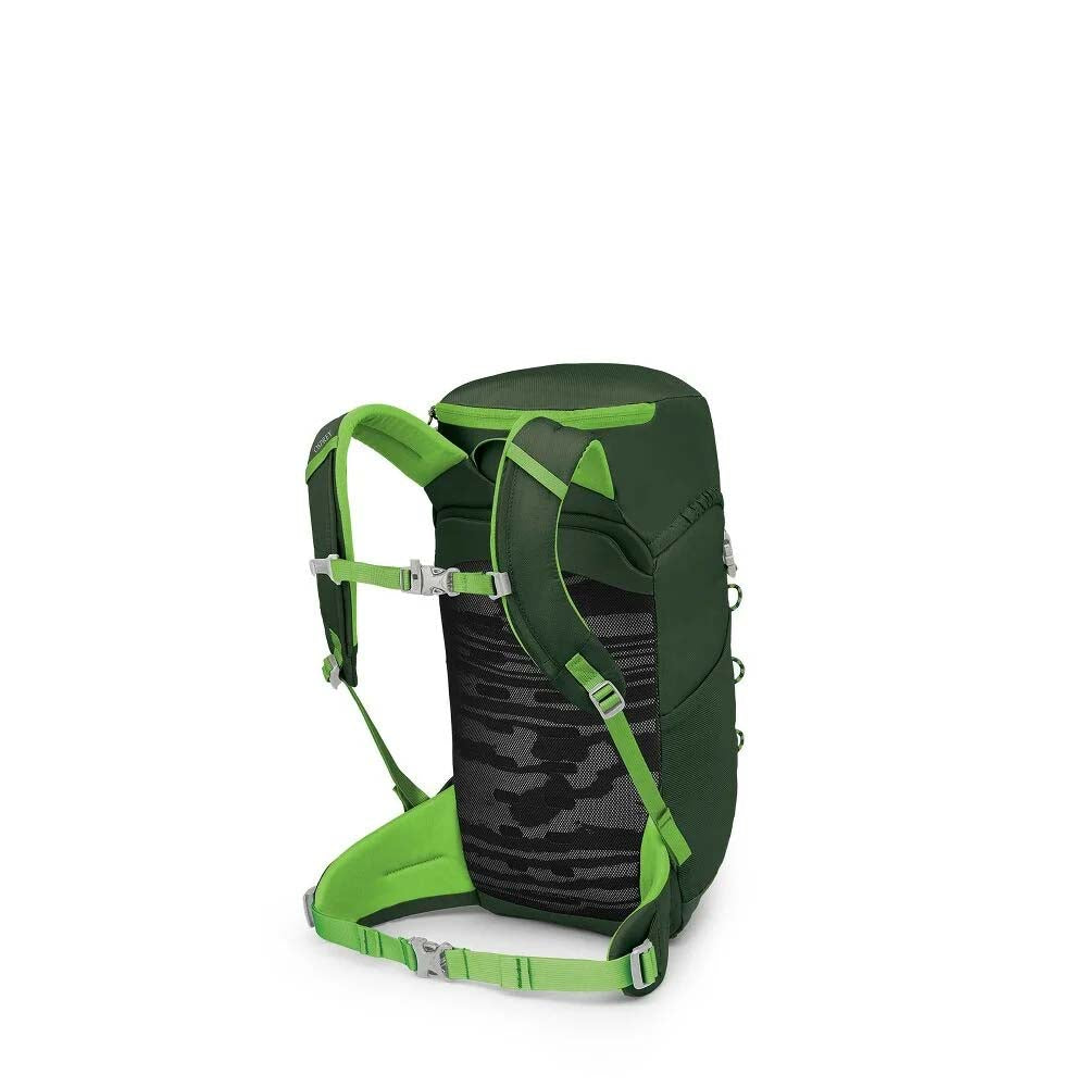 Osprey Backpacks Green Canopy Osprey Jet 18 Kids' Hiking Backpack