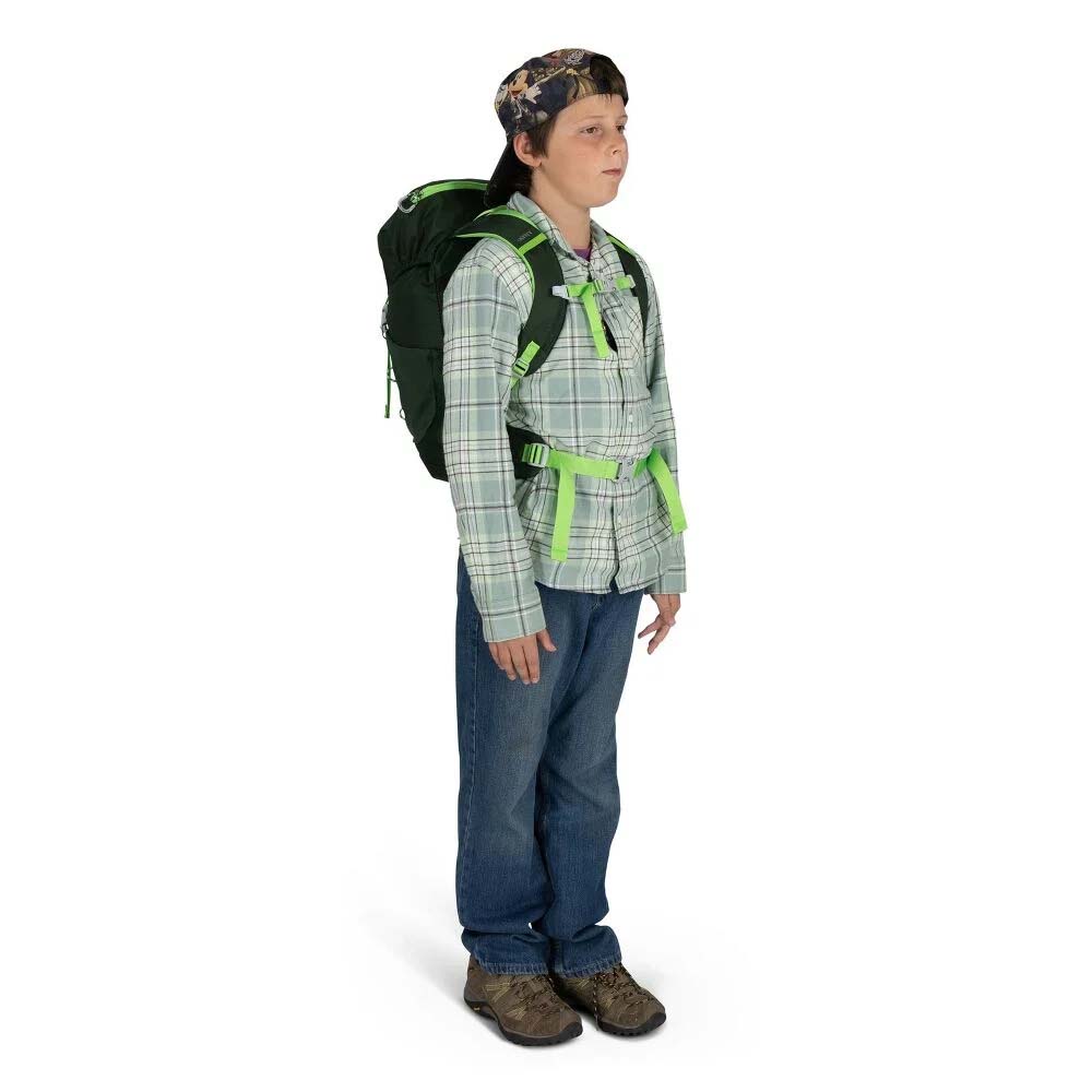 Osprey Backpacks Green Canopy Osprey Jet 18 Kids' Hiking Backpack