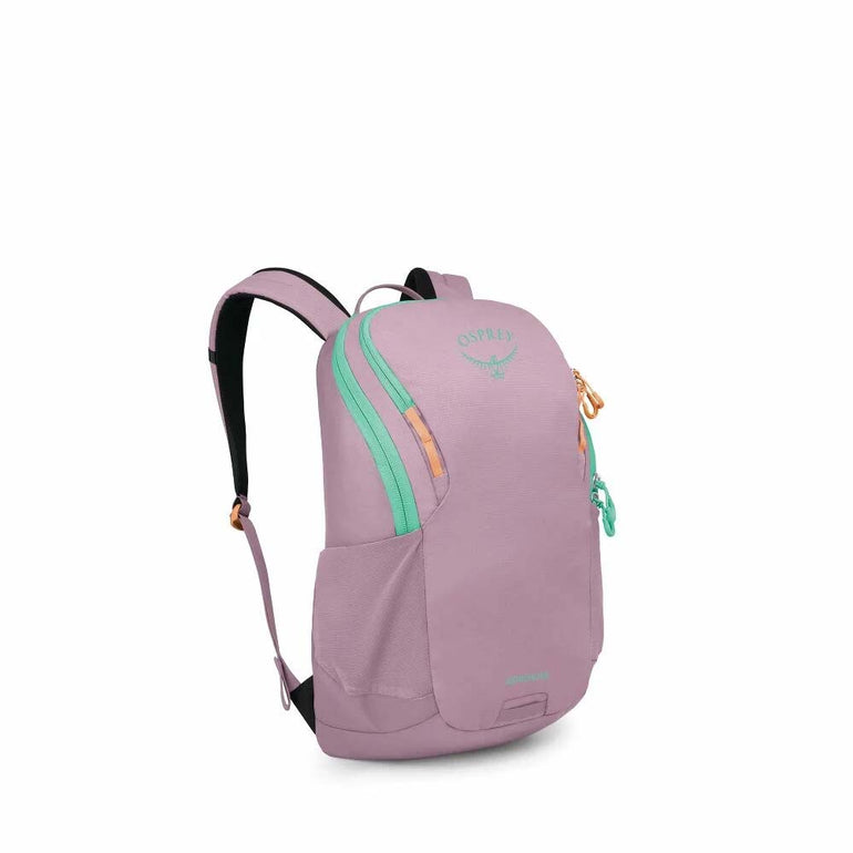 Osprey Backpacks Iris Pink Osprey Astronova Pack