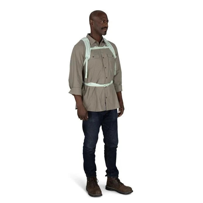 Osprey Backpacks Osprey Daylite Everyday Backpack