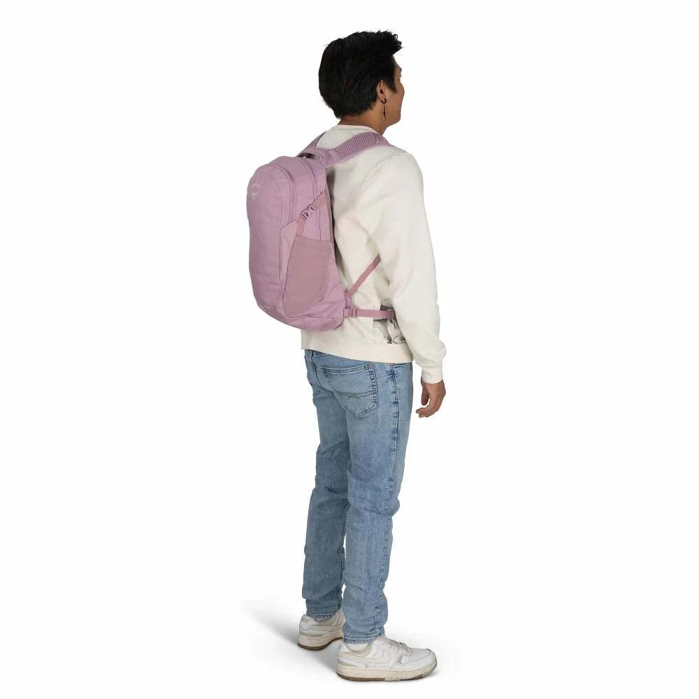 Osprey Backpacks Osprey Daylite Everyday Backpack