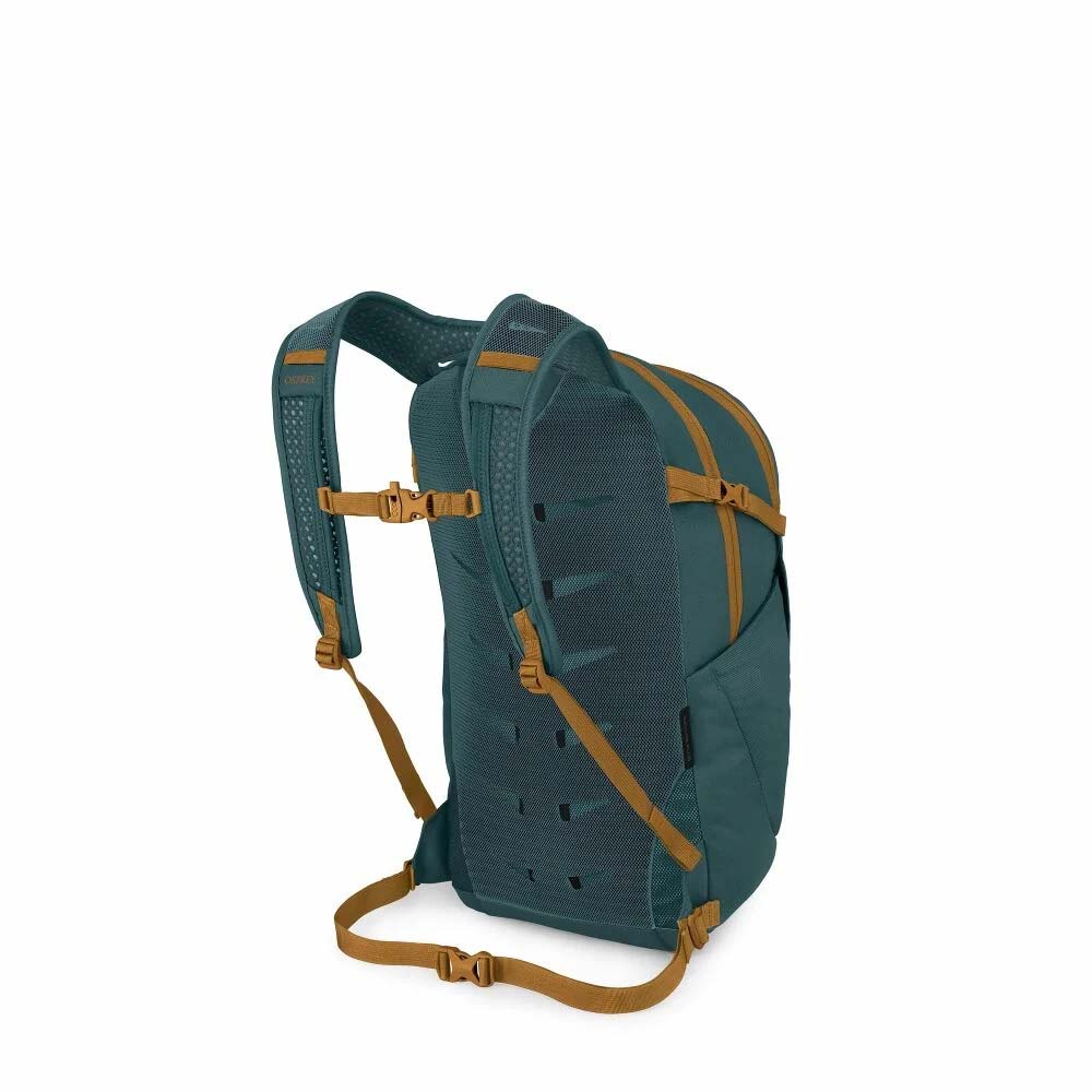 Osprey Backpacks Osprey Daylite Plus Everyday Backpack