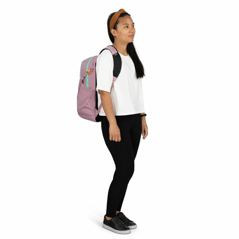 Osprey Backpacks Osprey Flare 27 Backpack