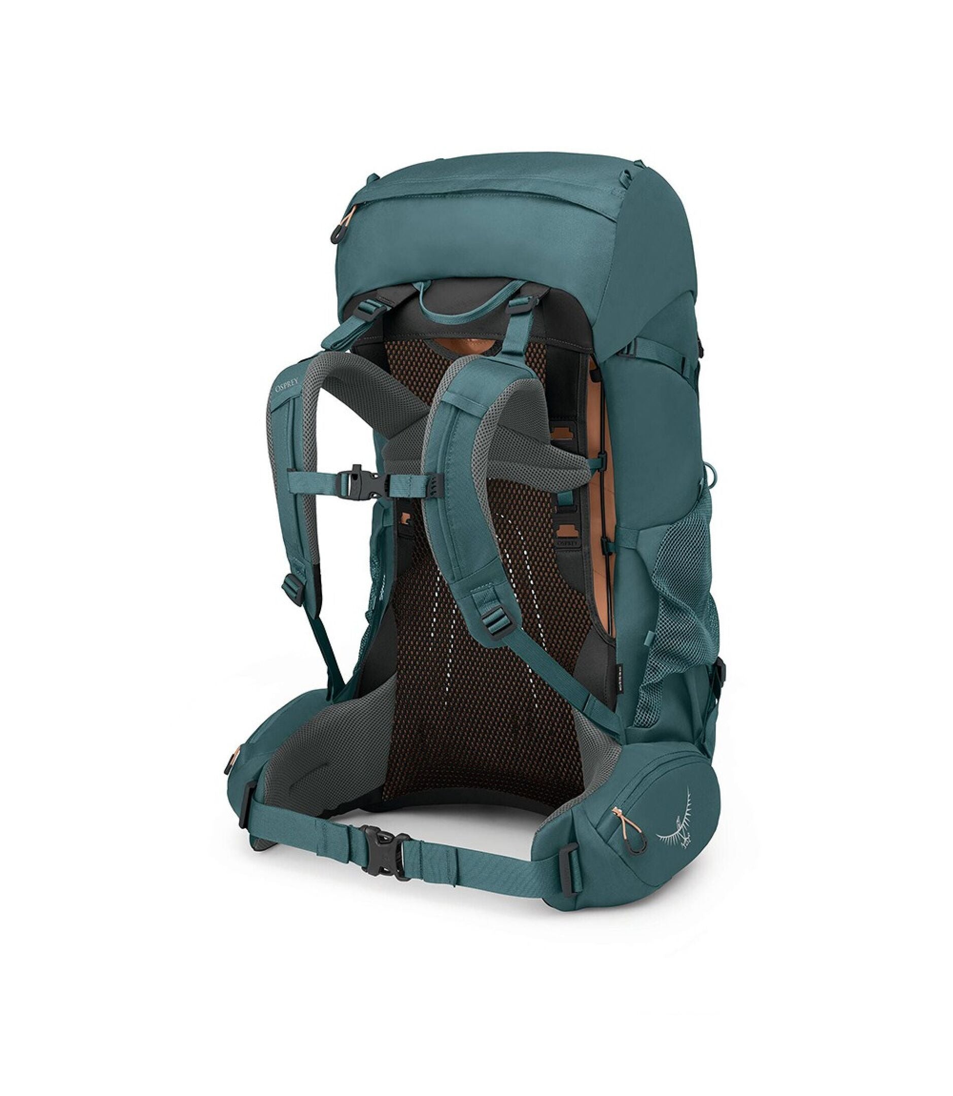 Osprey Backpacks Osprey Renn 65L