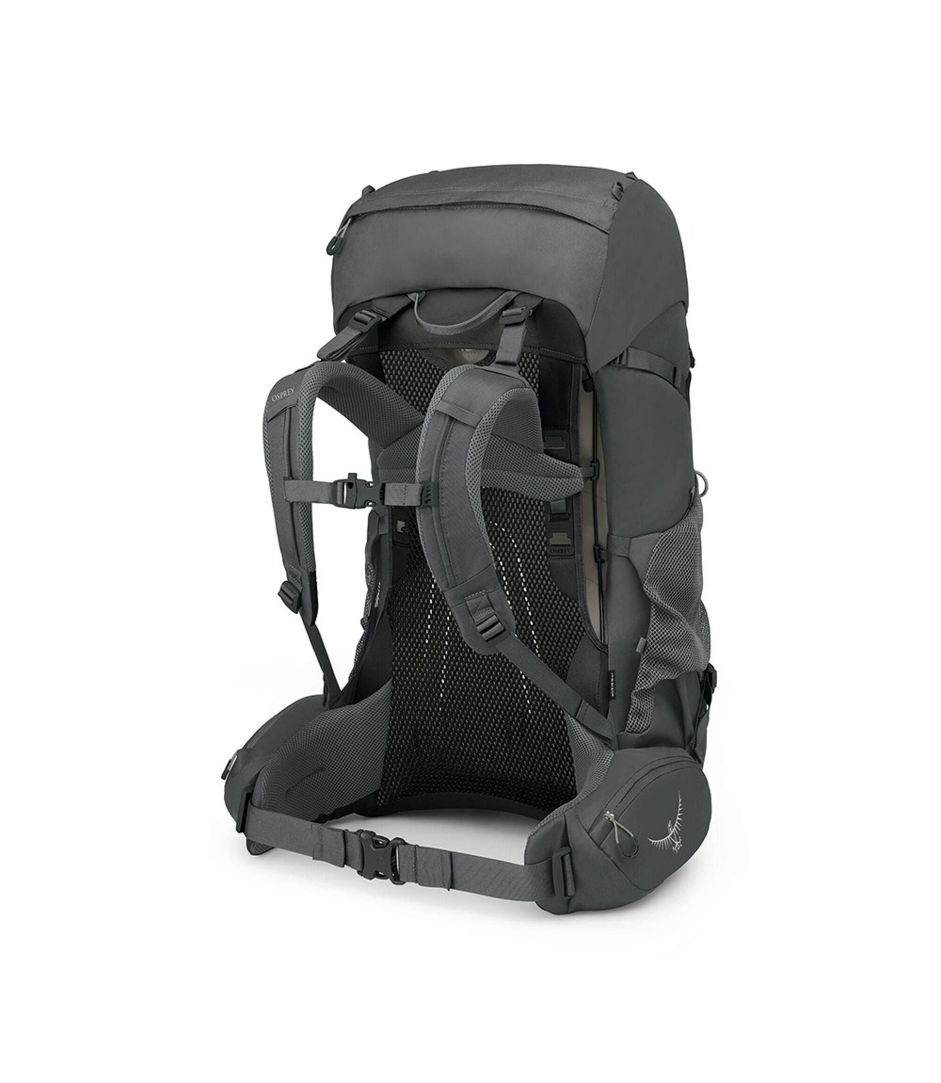 Osprey Backpacks Osprey Renn 65L
