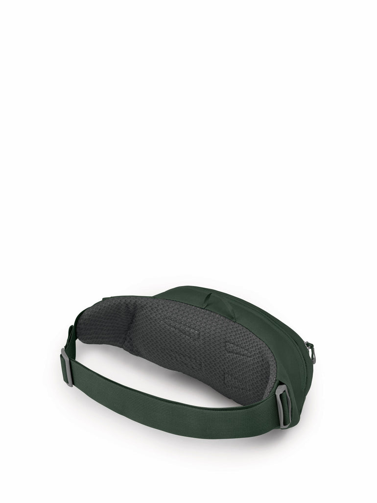 Osprey Waist Pouches Osprey Daylite Waist