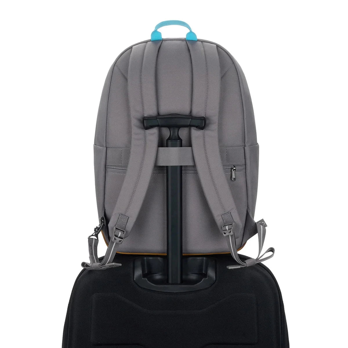 Pacsafe Backpacks Pacsafe Go 25L Anti-Theft Backpack