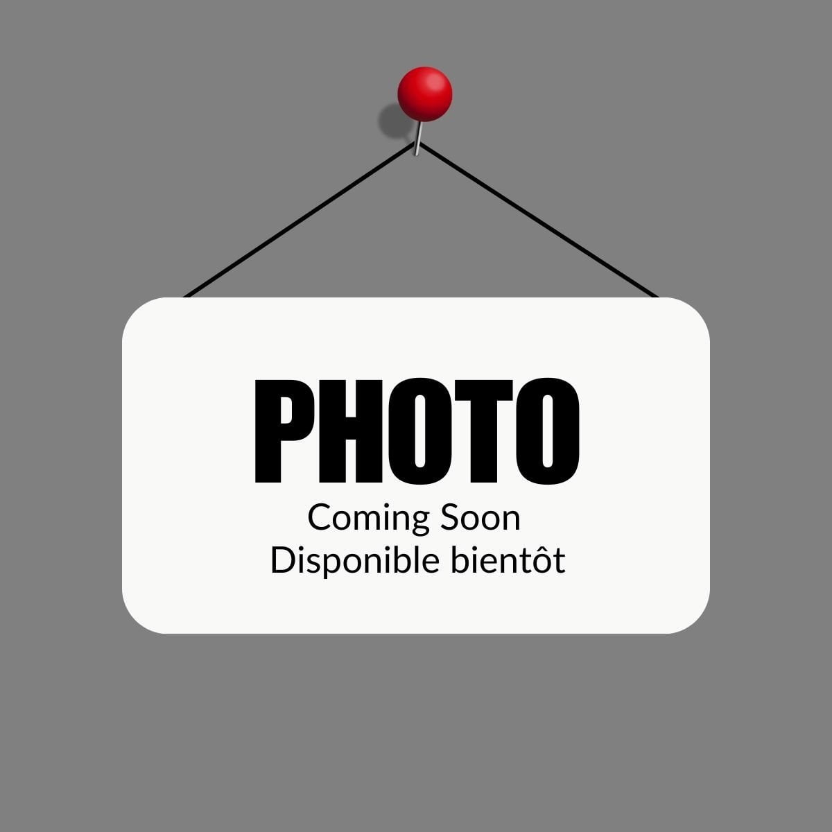 Pacsafe Cross-Body Bag Meteor Ice Pacsafe GO Anti-Theft Lunar Crossbody