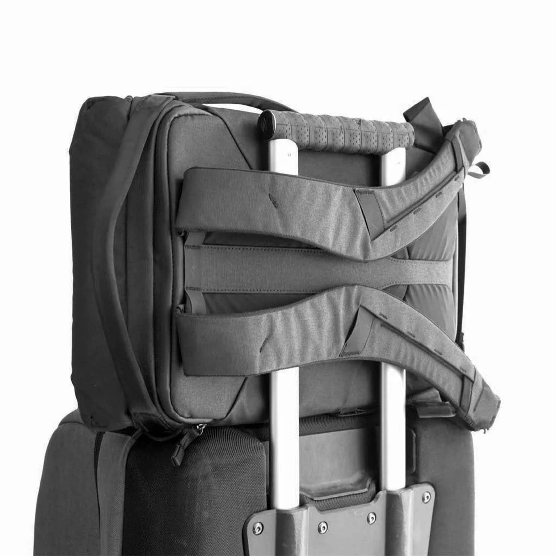 Peak Design Backpacks Peak Design Everyday Backpack 20L