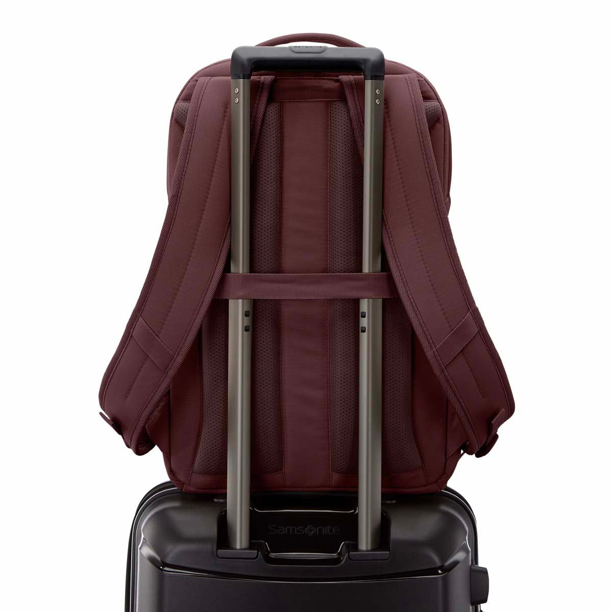 Samsonite Backpacks Samsonite Companion Bags Laptop Backpack 15.6"