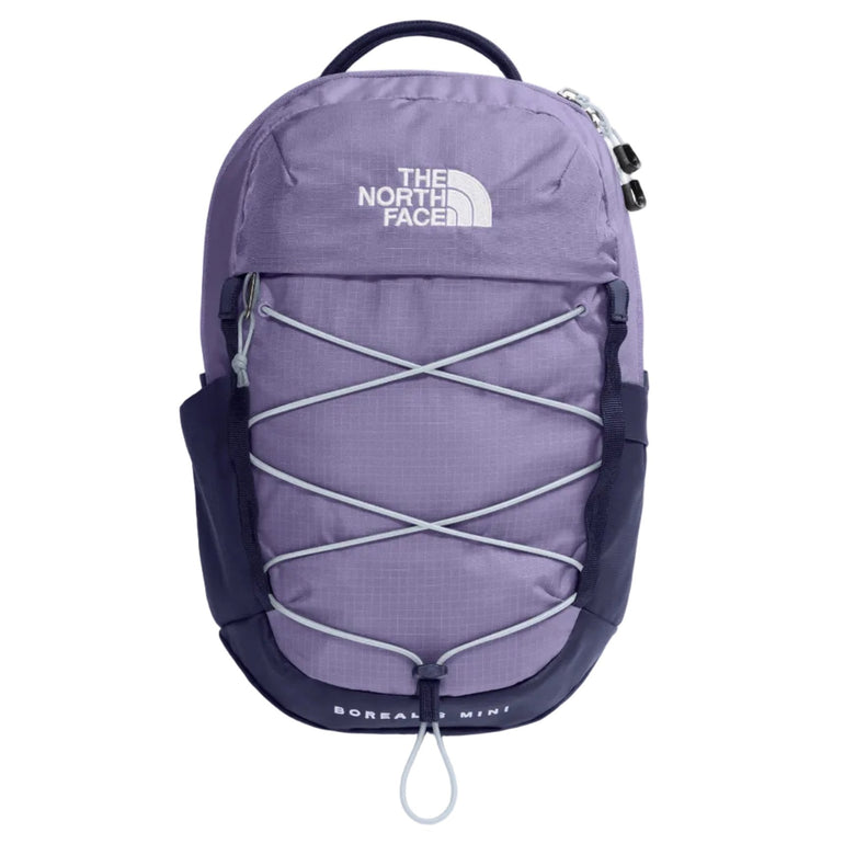 The North Face Borealis Mini Backpack