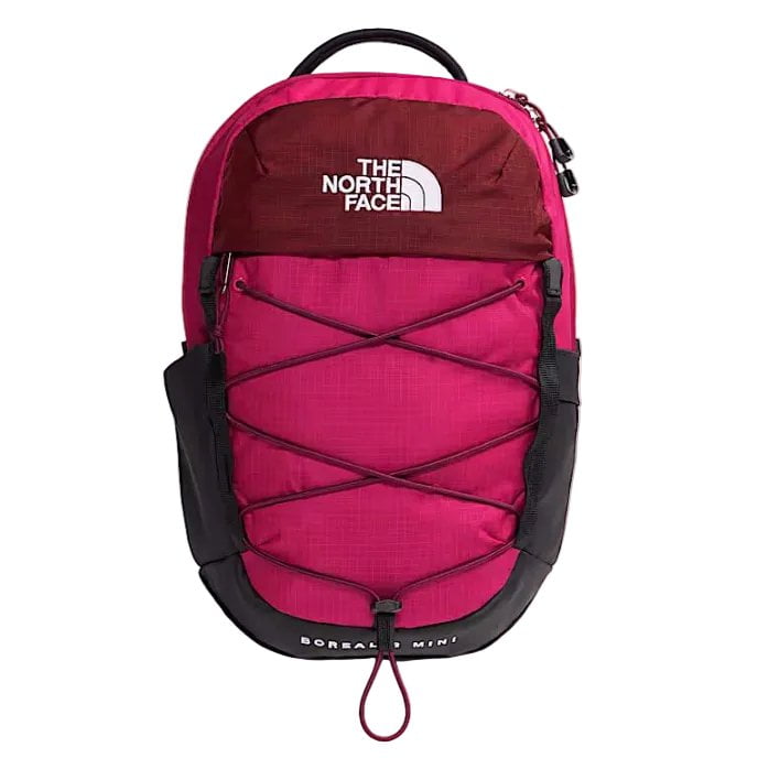 The North Face Borealis Mini Backpack