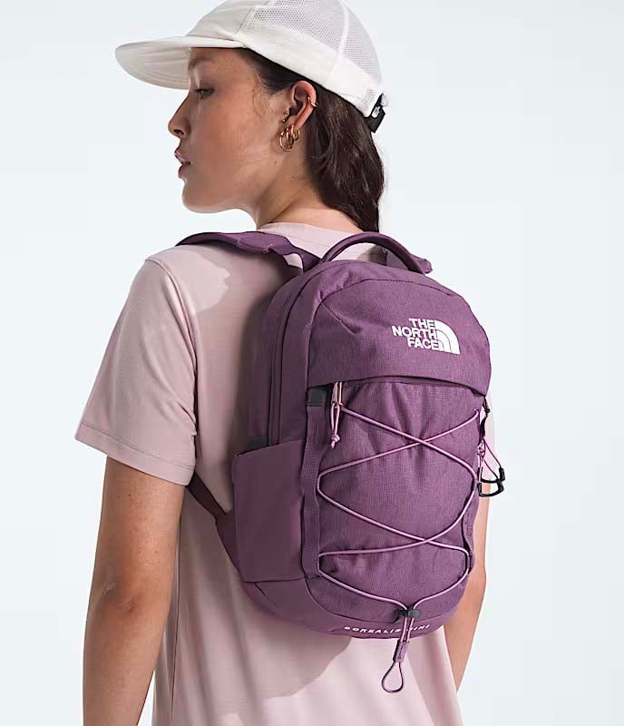 The North Face Backpacks The North Face Borealis Mini Backpack
