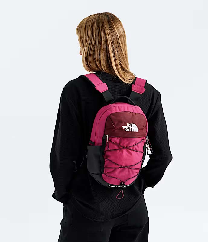 The North Face Borealis Mini Backpack