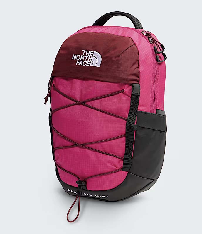 The North Face Borealis Mini Backpack