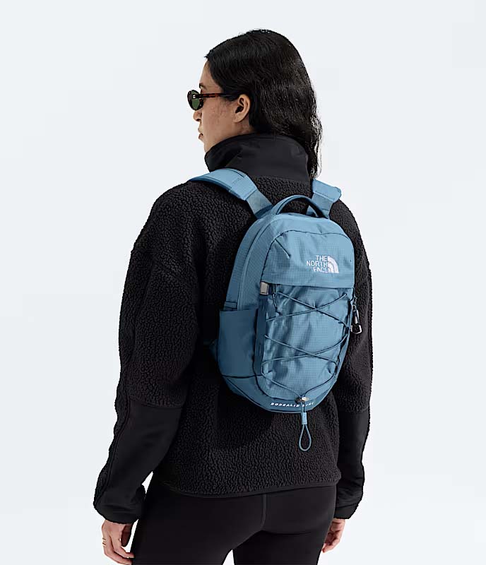 The North Face Borealis Mini Backpack