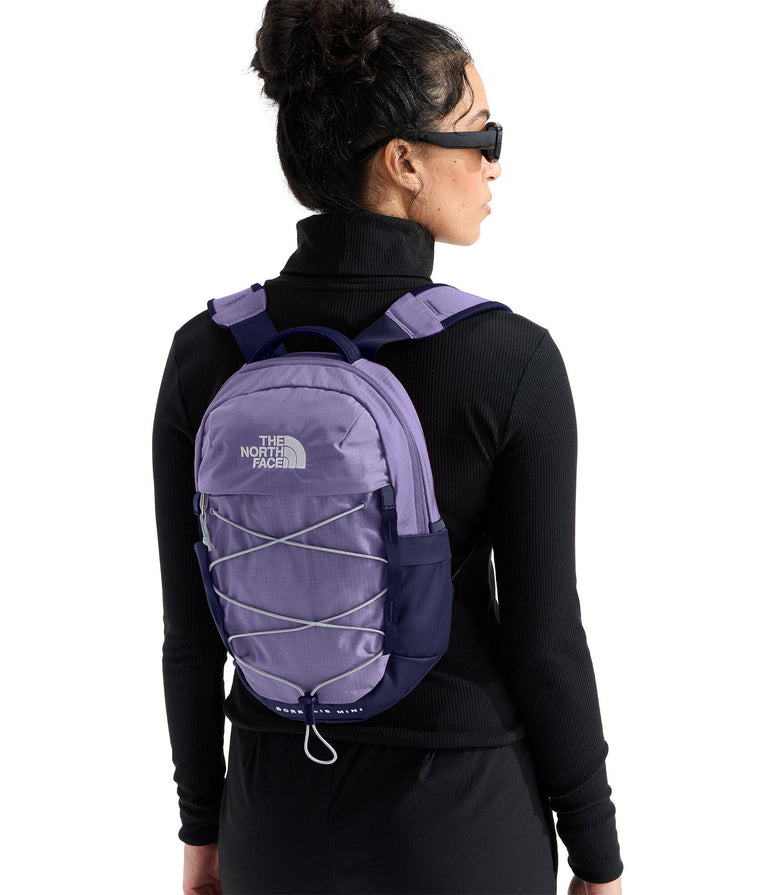The North Face Borealis Mini Backpack