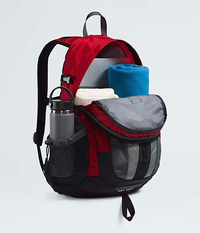 The North Face Backpacks The North Face Hot Shot SE
