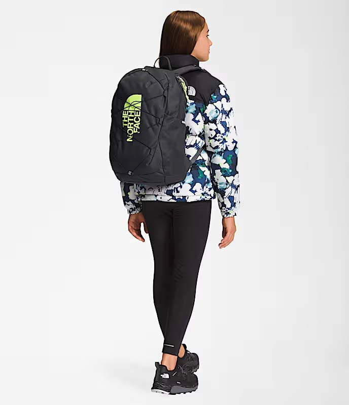 The North Face Backpacks TNF Black The North Face Youth Court Jester Backpack
