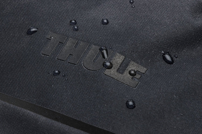 Thule Luggage Black Thule Aion Carry On Spinner Luggage - Black