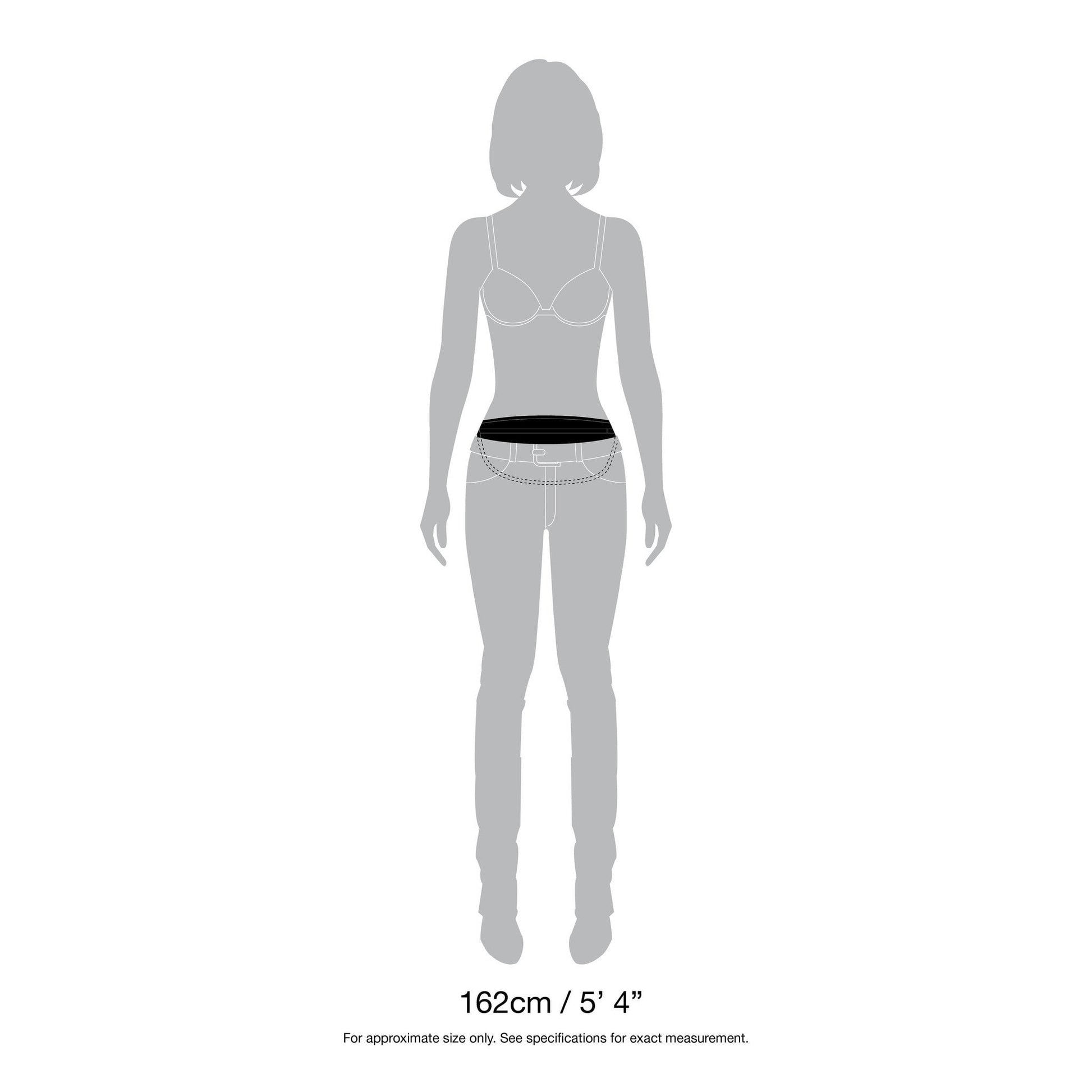 Pacsafe Waist Pouches Pacsafe Coversafe™ S100 Secret Travel Waist Pouch