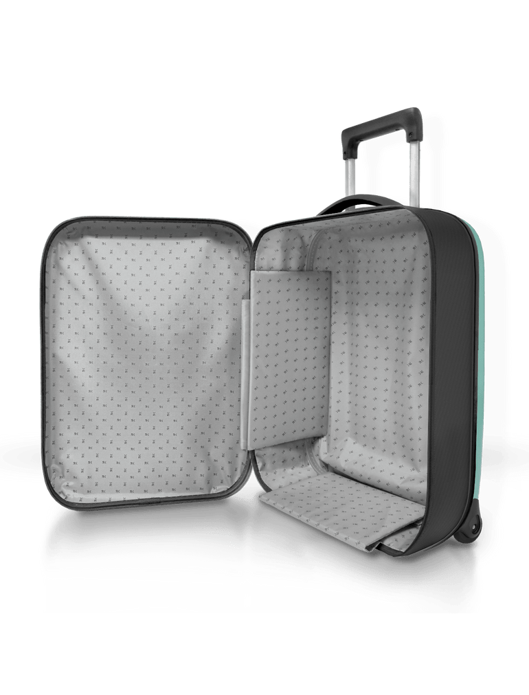 Rollink Luggage Rollink Flex Vega Carry-On Collapsible Luggage